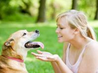 Болезни лап у собак: симптомы и лечение